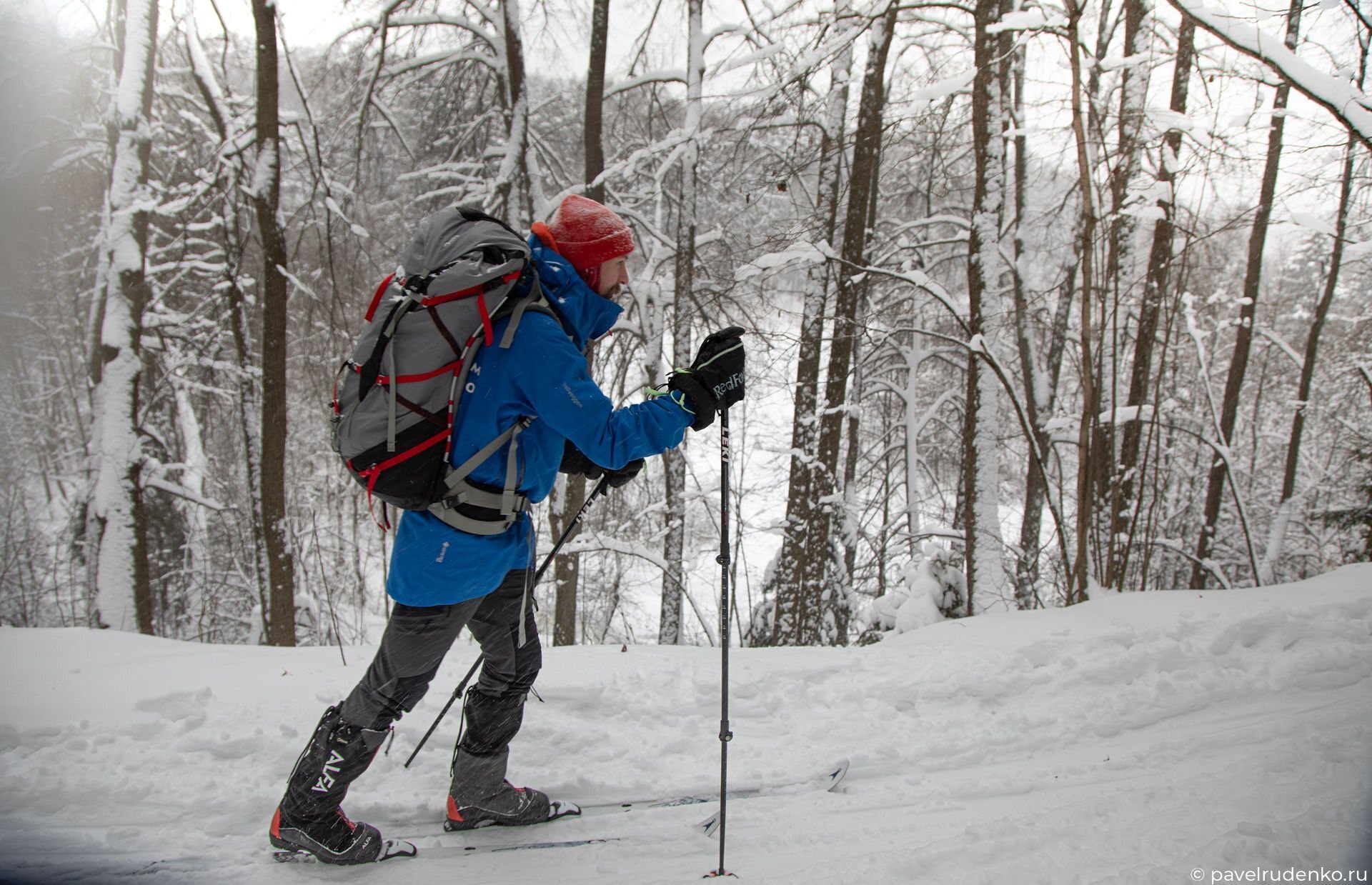 Фотография лыжи для туризма модели и виды в статье