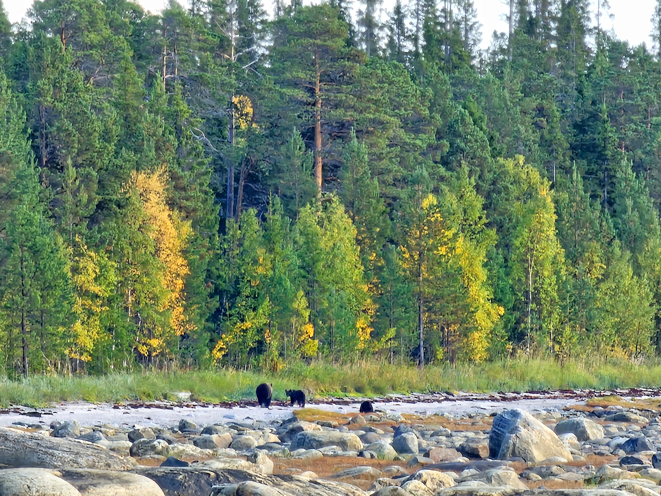 Белое море — поход за Северным сиянием, фото 85
