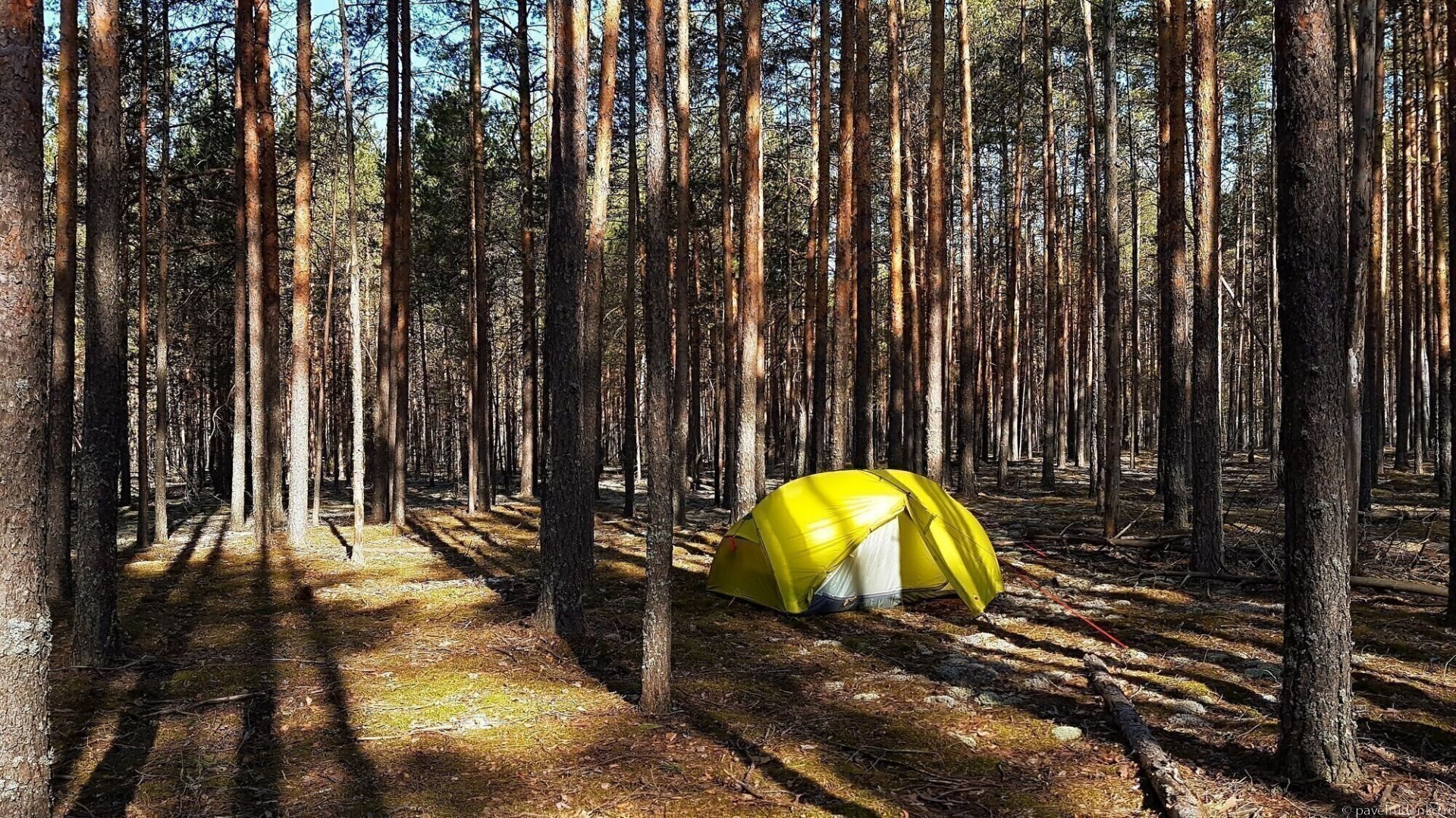 Фотография Bask Pinnate 2: Краткий обзор палатки.