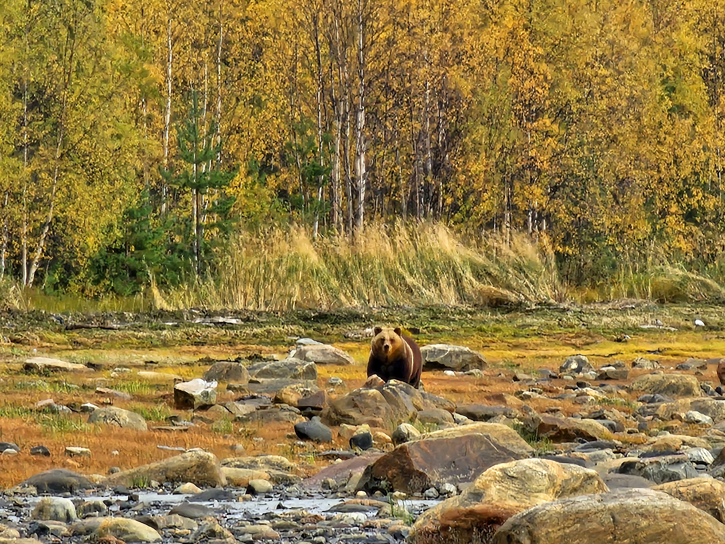 Белое море — поход за Северным сиянием, фото 60