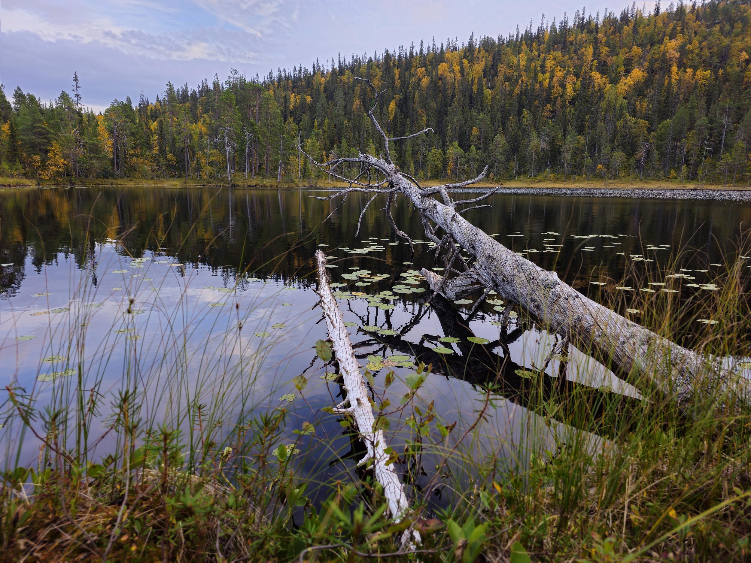 Белое море — поход за Северным сиянием, фото 33
