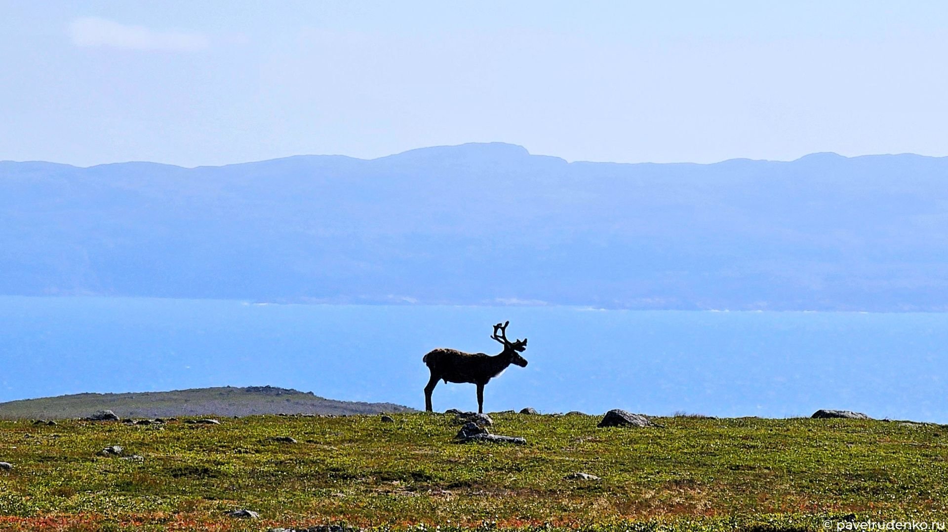 Фотография Полуостров Рыбачий: поход в царство Северного Оленя