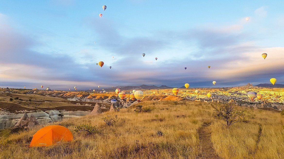 Фотография