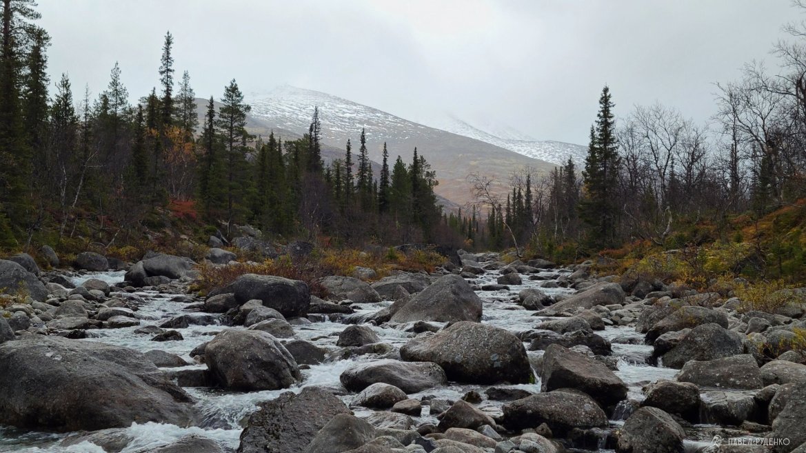 Фотография Der Fluss Golzovka. Es gibt eine Brücke aus zwei Bäumen an der Stelle, wo der Fluss Chayasnayok mündet. Khibiny